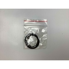 Kit cilindro pistone segmenti per motore RUGGERINI P 105/2 R - RP 380 FIN2038KIT | NewgardenParts.com