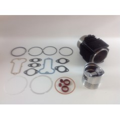 Kit cilindro pistone serie smeriglio motore LOMBARDINI LDA820 4LD820 4898.005 | NewgardenParts.com