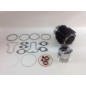 Kit cilindro pistone serie smeriglio motore LOMBARDINI LDA820 4LD820 4898.005