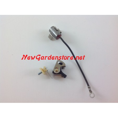 Kit Coppia contatti compatibile motore ASPERA TECUMSEH 310075 + 310076 1632001 | NewgardenParts.com