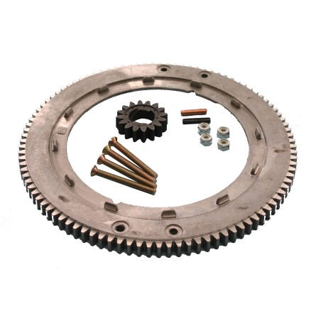 Kit corona dentata volano motore trattorino rasaerba BRIGGS & STRATTON 696537 | NewgardenParts.com