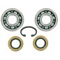 KIT CUSCINETTI C/PARAOLI 501856201 ORIGINALE HUSQVARNA