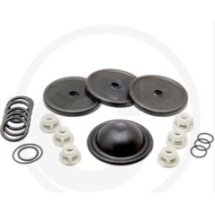 Kit di riparazione per pompa a membrana BP 105K 125K ANNOVI 6705026032600 | NewgardenParts.com