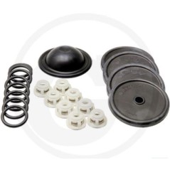 Kit de reparación para bomba de membrana BP 151K BP 171K ANNOVI 6705026014500