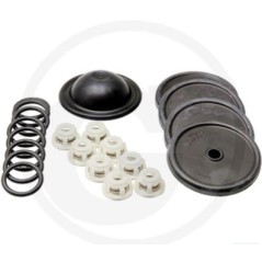 Kit di riparazione per pompa a membrana BP 151K BP 171K ANNOVI 6705026014500 | NewgardenParts.com