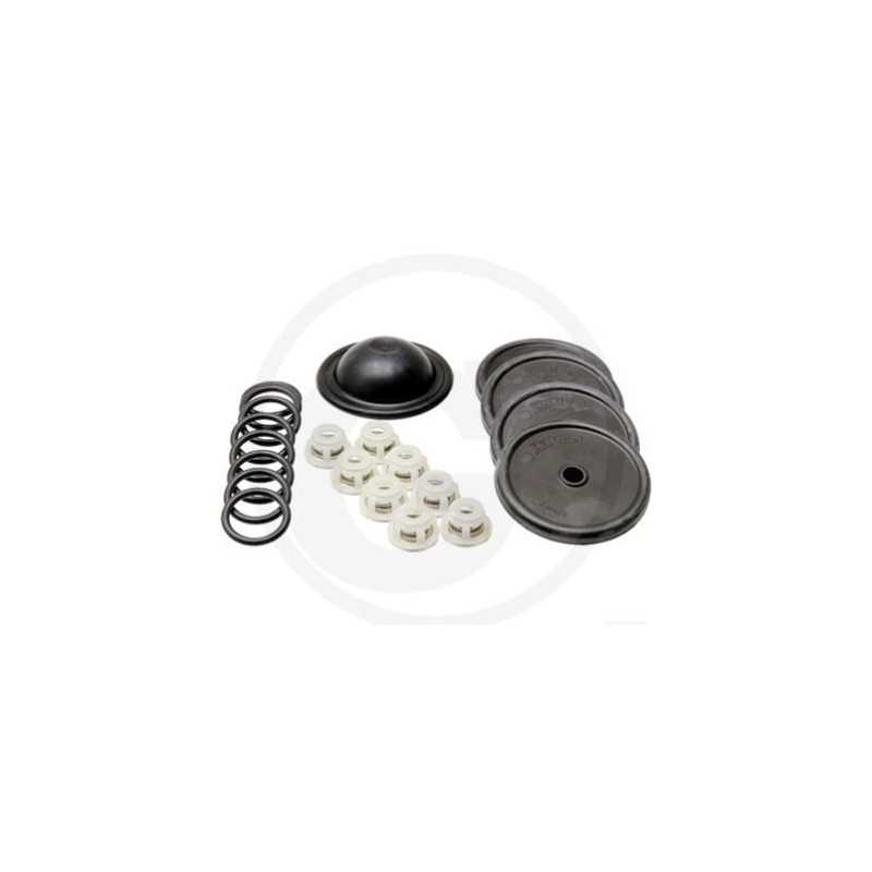 Kit de reparación para bomba de membrana BP 151K BP 171K ANNOVI 6705026014500
