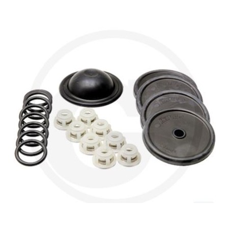 Kit di riparazione per pompa a membrana BP 151K BP 171K ANNOVI 6705026014500 | NewgardenParts.com