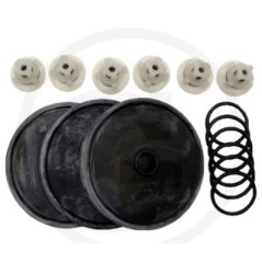 Kit di riparazione per pompa a membrana BP 75 ANNOVI 6705026032300 | NewgardenParts.com