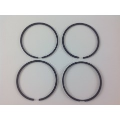 Piston ring kit 4 segments + 1 mm 96 mm engine DIESEL RUGGERINI RF140 RD270 2497 | NewgardenParts.com
