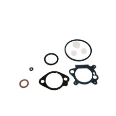 Kit guarnizioni carburatore compatibile motore BRIGGS&STRATTON 9 10 hp verticale | NewgardenParts.com