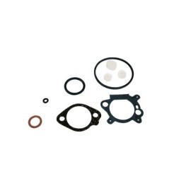 Vergaserdichtungssatz kompatibel mit BRIGGS&STRATTON 9 10 PS Vertikalmotor | NewgardenParts.com