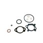 Carburettor gasket kit compatible with BRIGGS&STRATTON 9 10 hp vertical engine