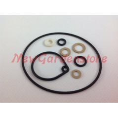 Kit junta carburador FVCA para motocultor y motoazada DELL'ORTO A20035 | NewgardenParts.com