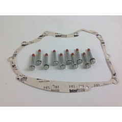 CARTER GASKET KIT für BRIGGS STRATTON Rasentraktormotor | NewgardenParts.com