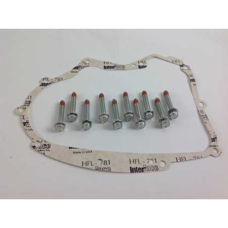 CARTER GASKET KIT for BRIGGS STRATTON lawn tractor engine | NewgardenParts.com