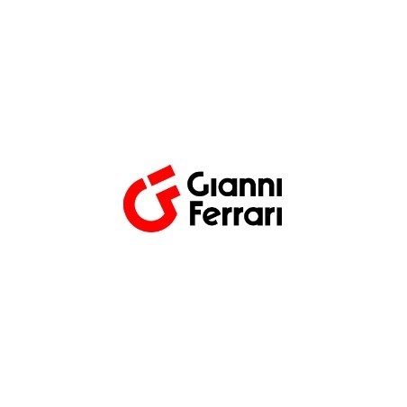 Kit guarnizioni cilindro sterzo ORIGINALE GIANNI FERRARI 00.58.00.0072 | NewgardenParts.com