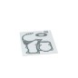 Sealing kit compatible with HUSQVARNA 555 - 560 XP - 562 XP 510164901