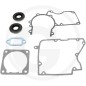 Dichtungssatz für 2t Motor Motorsense 2t Kettensägengebläse Echo 10024214730