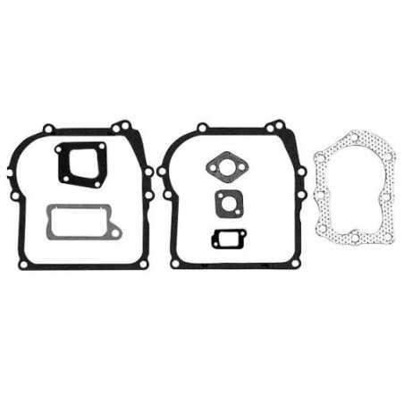 Dichtungssatz für BRIGGS & STRATTON Motor cod. 393411 | NewgardenParts.com