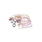 Kit guarnizioni motore DIESEL LOMBARDINI LDA673 CON PARAOLI FIN076CGA