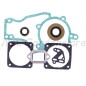 STIHL two-stroke brushcutter, chainsaw, blower, two-stroke engine gasket kit
