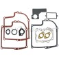 Lawn tractor seal kit BRIGGS & STRATTON compatible 299577 Lawn tractor seal kit BRIGGS & STRATTON compatible 299577