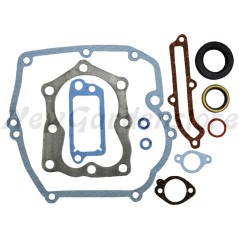 Kit de juntas para tractor de césped BRIGGS&STRATTON compatible 493263 | NewgardenParts.com