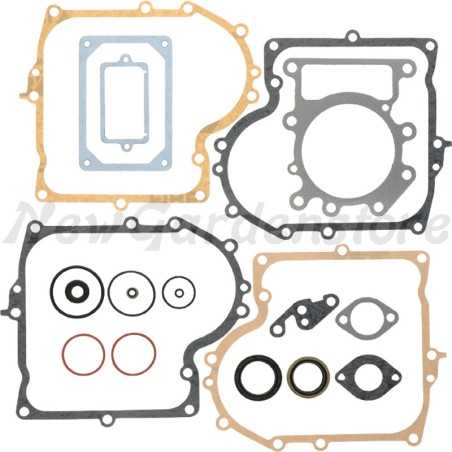 Rasentraktor Dichtungssatz BRIGGS & STRATTON kompatibel 690189 | NewgardenParts.com