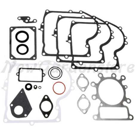 Rasentraktor Dichtungssatz BRIGGS&STRATTON kompatibel 495993 | NewgardenParts.com