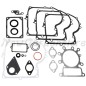 Lawn tractor sealing kit BRIGGS&STRATTON compatible 495993