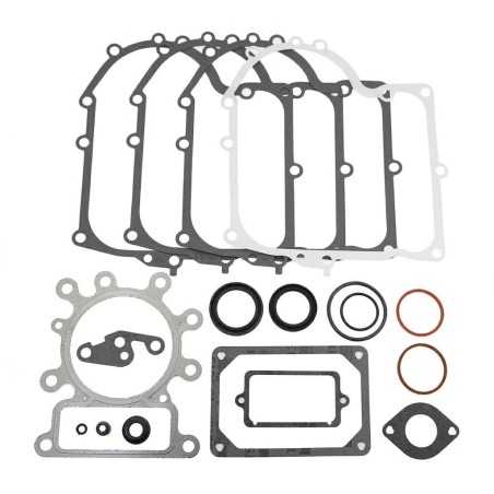 BRIGGS&STRATTON OHV Rasenmähertraktor Dichtungssatz 691580 | NewgardenParts.com