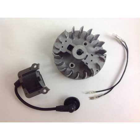 Original AL-KO brushcutter ignition system kit FRS 410 FRS 4125 412033 | NewgardenParts.com