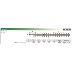 KIT Lower / upper blade GREEN LINE hedge trimmer SLP 600 038180 | NewgardenParts.com