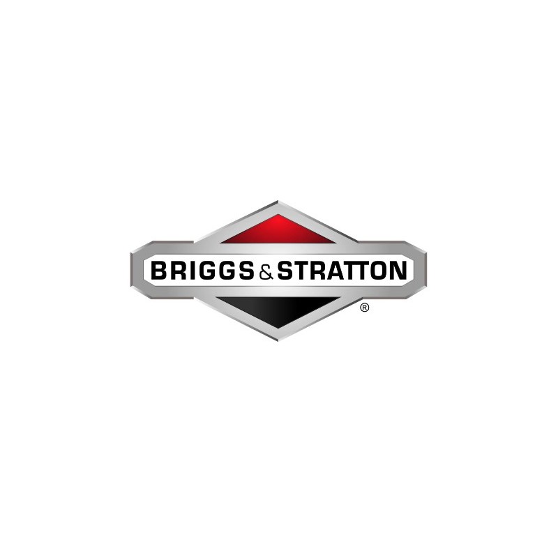 Astina di livello trattorino tagliaerba ORIGINALE BRIGGS & STRATTON 793474