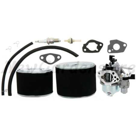 Carburettor maintenance kit for walking tractor, HONDA GX270 compatible | NewgardenParts.com