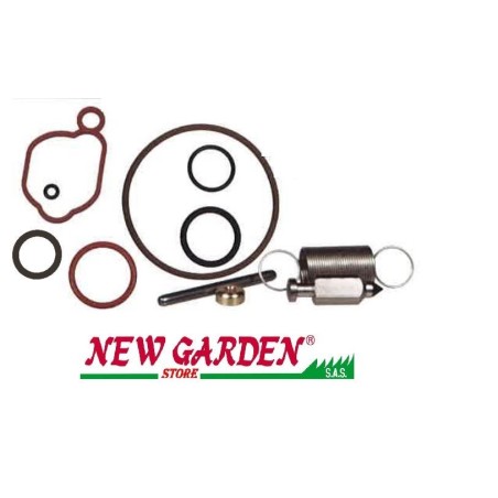 Kit manutenzione per rasaerba OHV serie 500 550 BRIGGS & STRATTON 222049 590589 | NewgardenParts.com