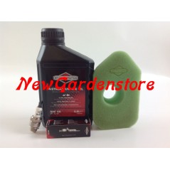 BRIGGS & STRATTON 3,5 und 4,5 PS Motor Rasenmäher Reparatur-Wartungssatz | NewgardenParts.com