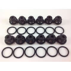 Kit membrana O-RING per pompa a membrana AR215 bp C/C blue flex ANNOVI 6702114 | NewgardenParts.com