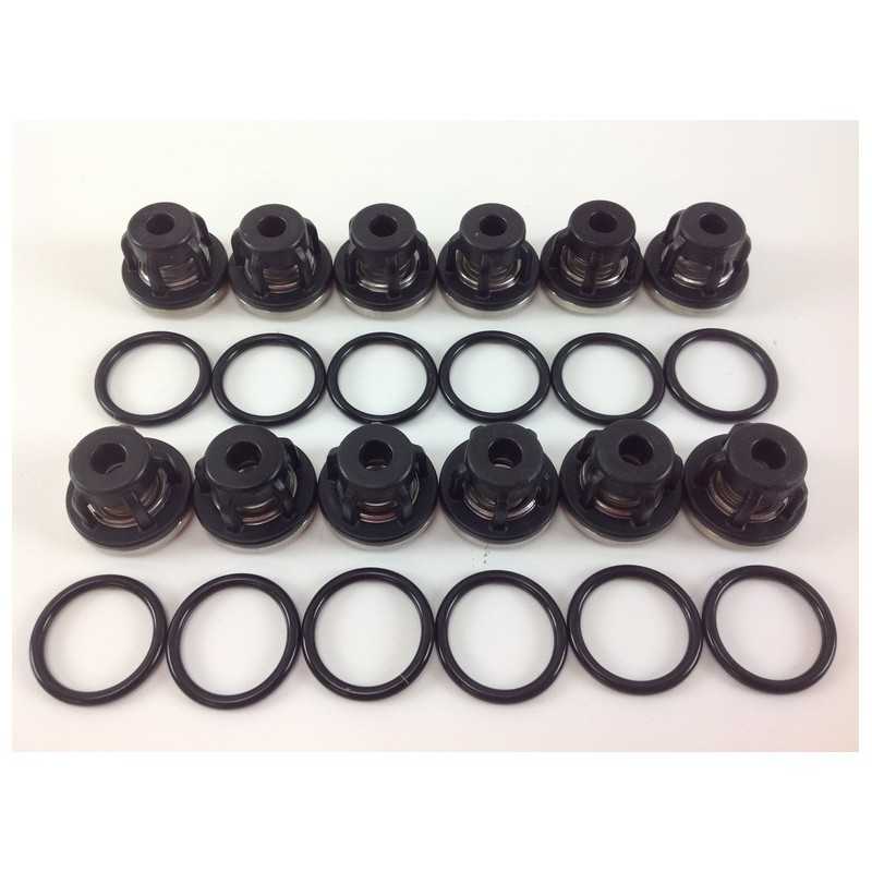 Kit O-RING pour pompe à membrane AR215 bp C/C blue flex ANNOVI 6702114