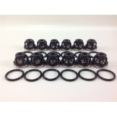 Kit O-RING pour pompe à membrane AR215 bp C/C blue flex ANNOVI 6702114 | NewgardenParts.com