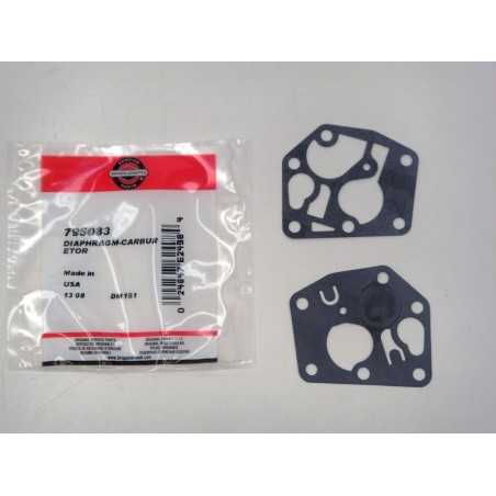ORIGINAL SPRINT-CLASSIC-QUATTON BRIGGS Vergaserdichtung 795083 | NewgardenParts.com