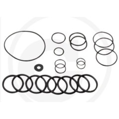 Kit O-RING dal 2010 per pompa a membrana AR215 bp C/C blue flex ANNOVI 67042513 | NewgardenParts.com