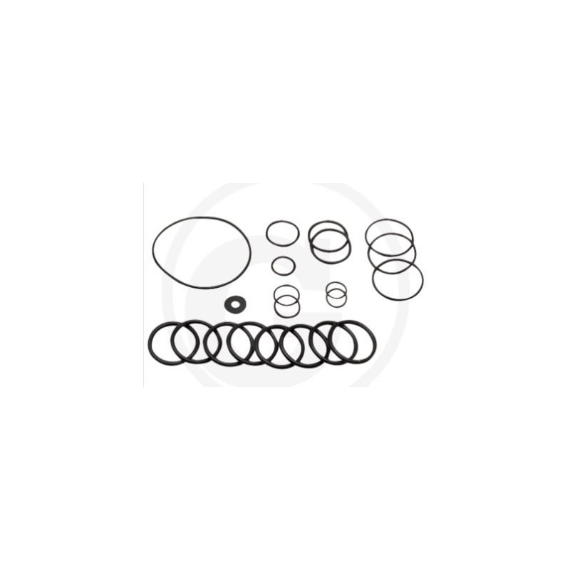 Kit O-RING dal 2010 per pompa a membrana AR215 bp C/C blue flex ANNOVI 67042513