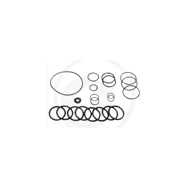 Kit O-RING à partir de 2010 pour pompe à membrane AR215 bp C/C blue flex ANNOVI 67042513