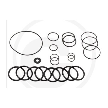 Kit O-RING dal 2010 per pompa a membrana AR215 bp C/C blue flex ANNOVI 67042513 | NewgardenParts.com