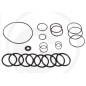 Kit O-RING dal 2010 per pompa a membrana AR215 bp C/C blue flex ANNOVI 67042513