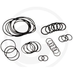 Kit o-ring fino a serie n. 1801913999 per pompa a membrana AR 813 ANNOVI 6702376 | NewgardenParts.com