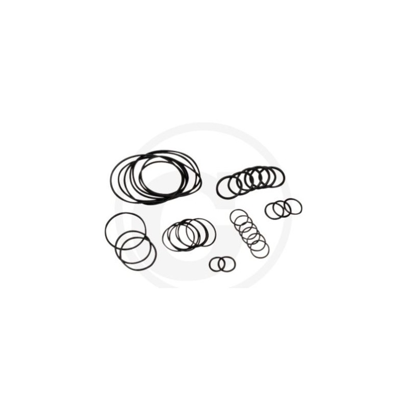 Kit o-ring fino a serie n. 1801913999 per pompa a membrana AR 813 ANNOVI 6702376