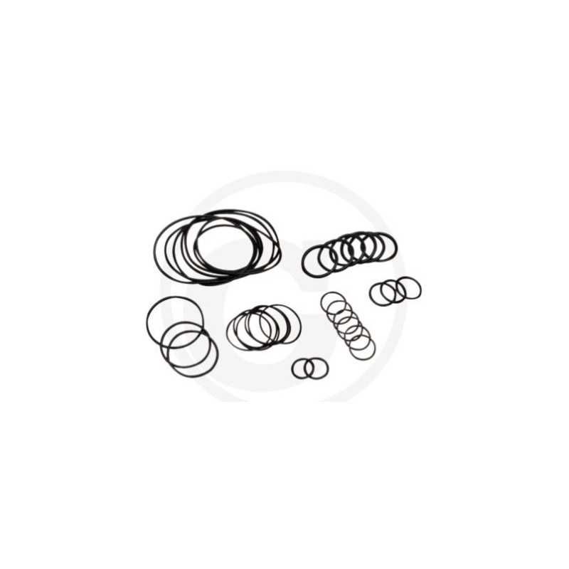 O-ring kit up to series no. 1801913999 for diaphragm pump AR 813 ANNOVI 6702376