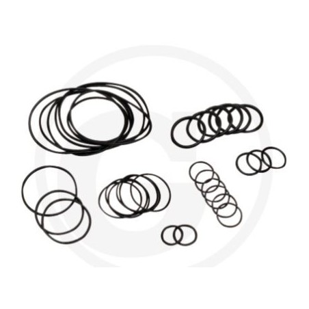 Kit o-ring fino a serie n. 1801913999 per pompa a membrana AR 813 ANNOVI 6702376 | NewgardenParts.com